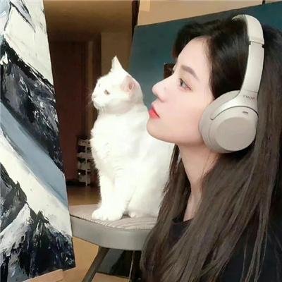 开膛少女的异想世界海报