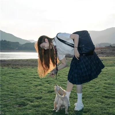 侠盗正传海报